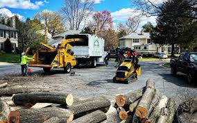 Best Utility Line Clearance  in Odenton, MD